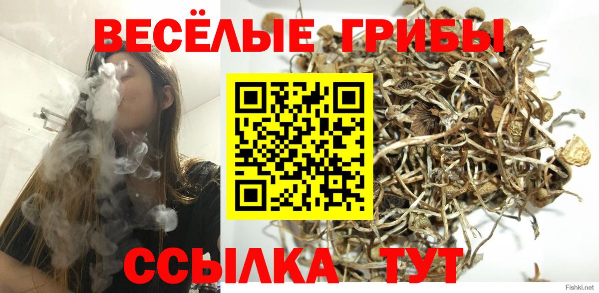 наркотики  Галлюциногенные грибы GOLDEN TEACHER  Вход с VPN  Чебаркуль 